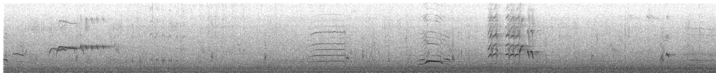 Great-tailed Grackle - ML650313149