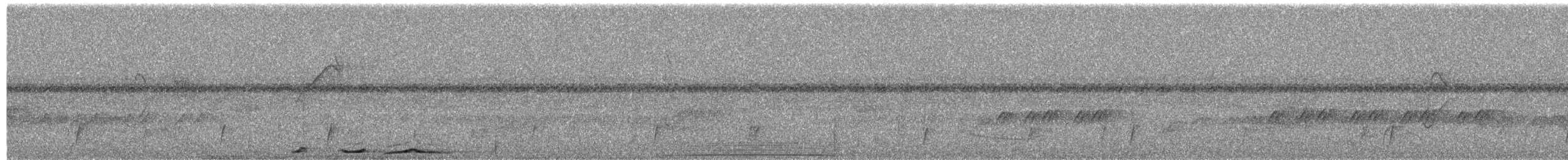 Plumbeous Pigeon - ML650314732