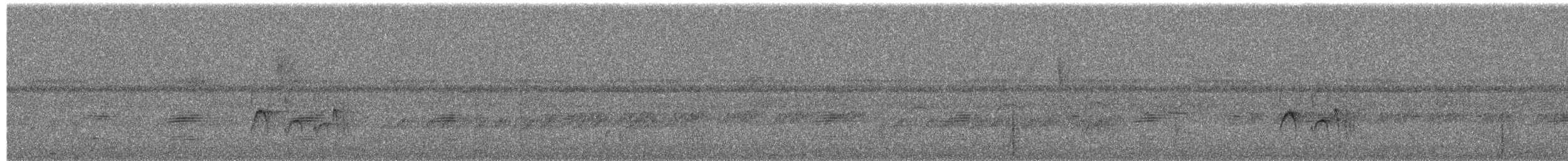 Sooty-headed Tyrannulet - ML650314741