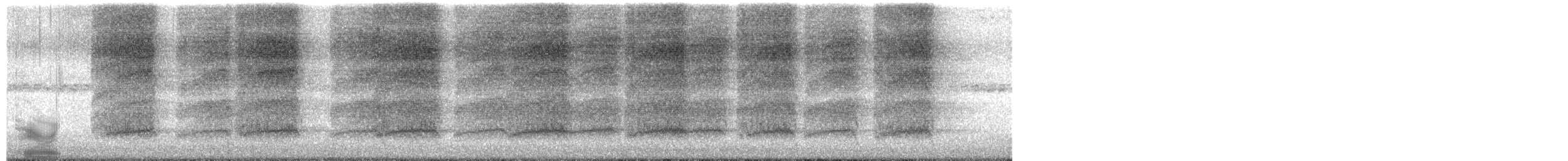 American Barn Owl - ML650316275