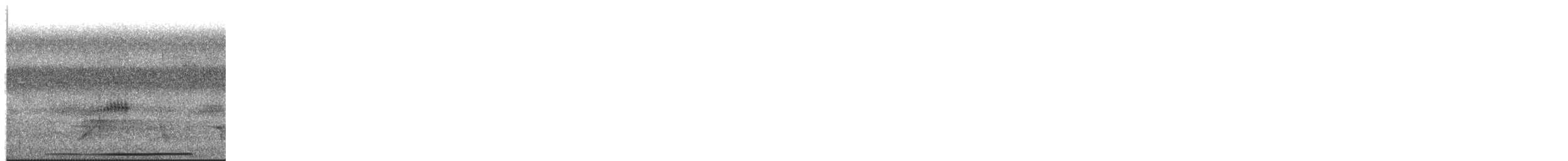 White-tipped Dove - ML650318986