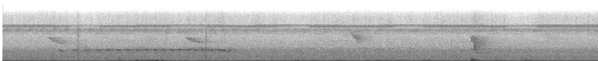 Black-hooded Antshrike - ML650319373