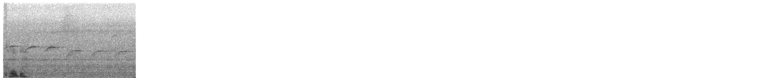 Morelet's Seedeater - ML650320925