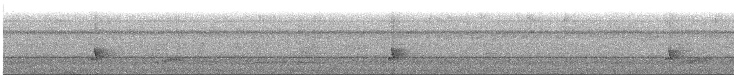 Dot-winged Antwren - ML650321210