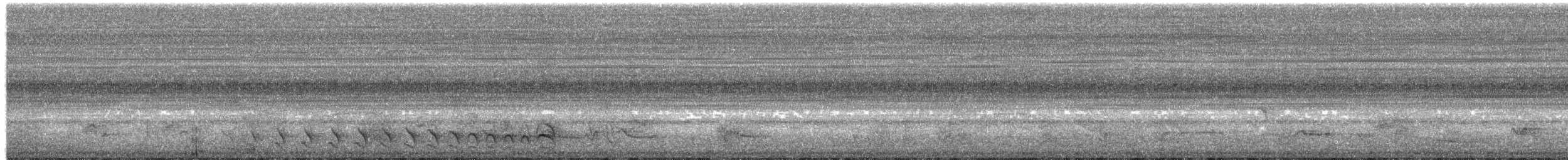 Barred Antshrike - ML650324093