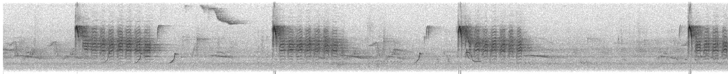 Carbonero de Carolina - ML650333497