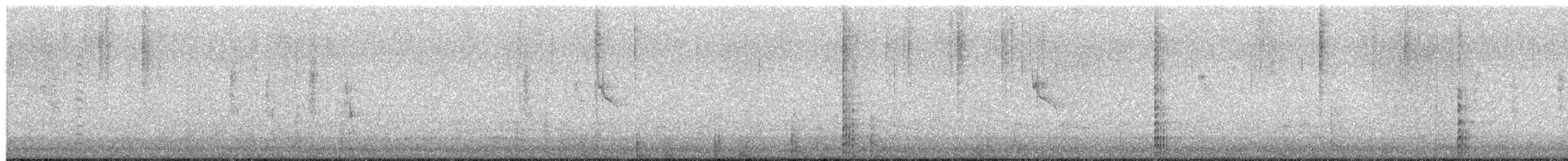 琵嘴鴨 - ML650334467