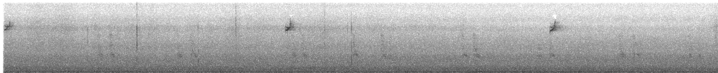 White-crowned Sparrow - ML650334689