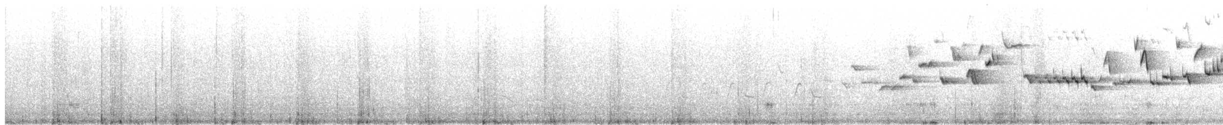 střízlík kanadský - ML650335724