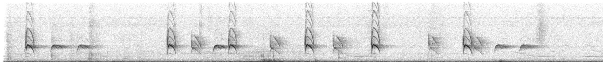 Кубла строката - ML650336274