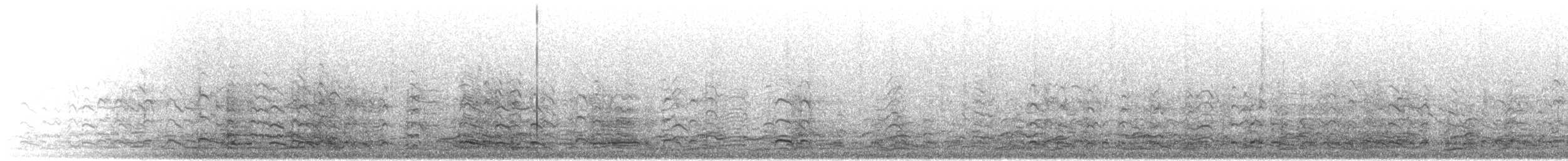 Greater White-fronted Goose - ML650340531