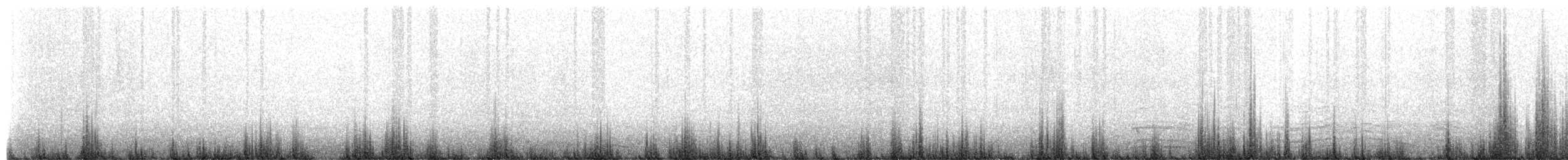 King Penguin - ML650343453