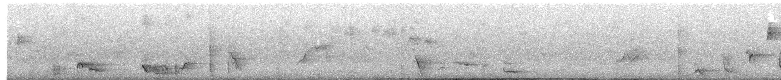 Picanzo Gris - ML650344265