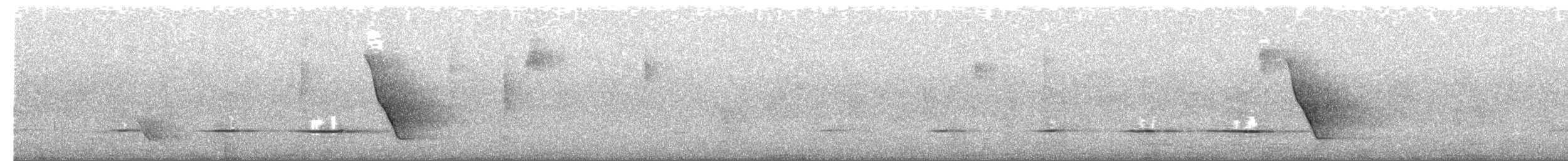 Silbador Dorado (Oriental) - ML650344271