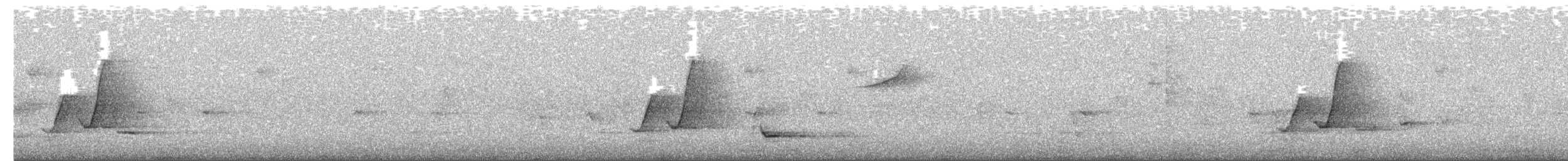 Silbador Dorado (Oriental) - ML650344272