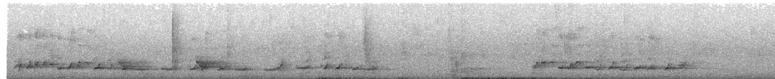 Verdugo Acollarado - ML650344304