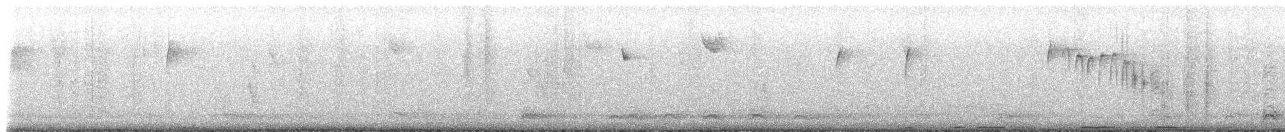 Carbonero de Carolina - ML650346644