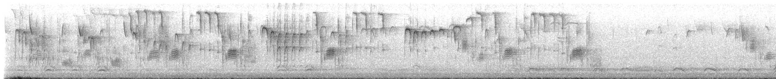 Carbonero de Carolina - ML650346738