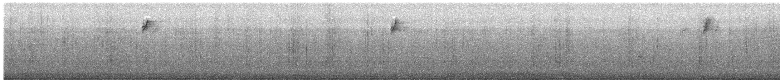 White-crowned Sparrow - ML650347026