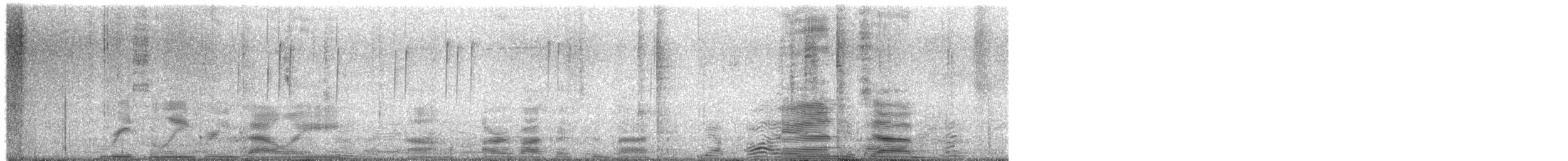 Colibri de Costa - ML650347276