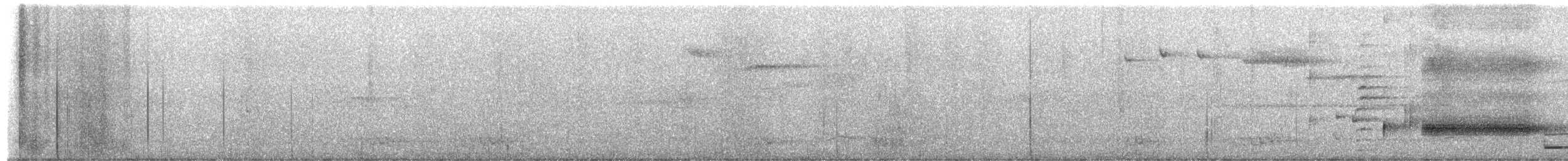 Hair-crested Drongo (Bornean) - ML650349543