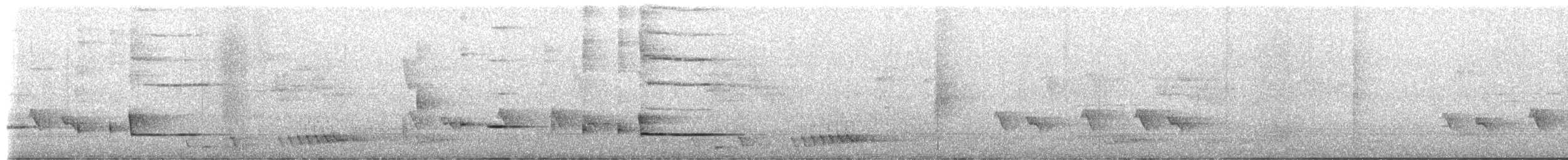 Hair-crested Drongo (Bornean) - ML650349544