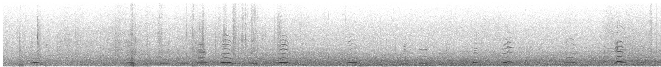 Whooper Swan - ML650350040