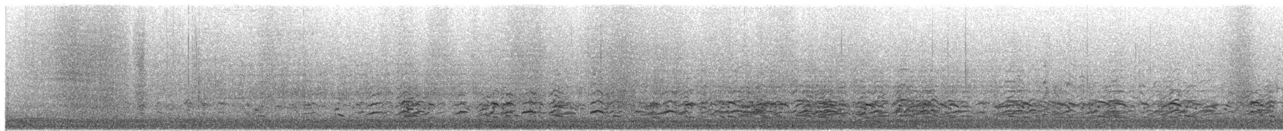 Cackling Goose - ML650351504