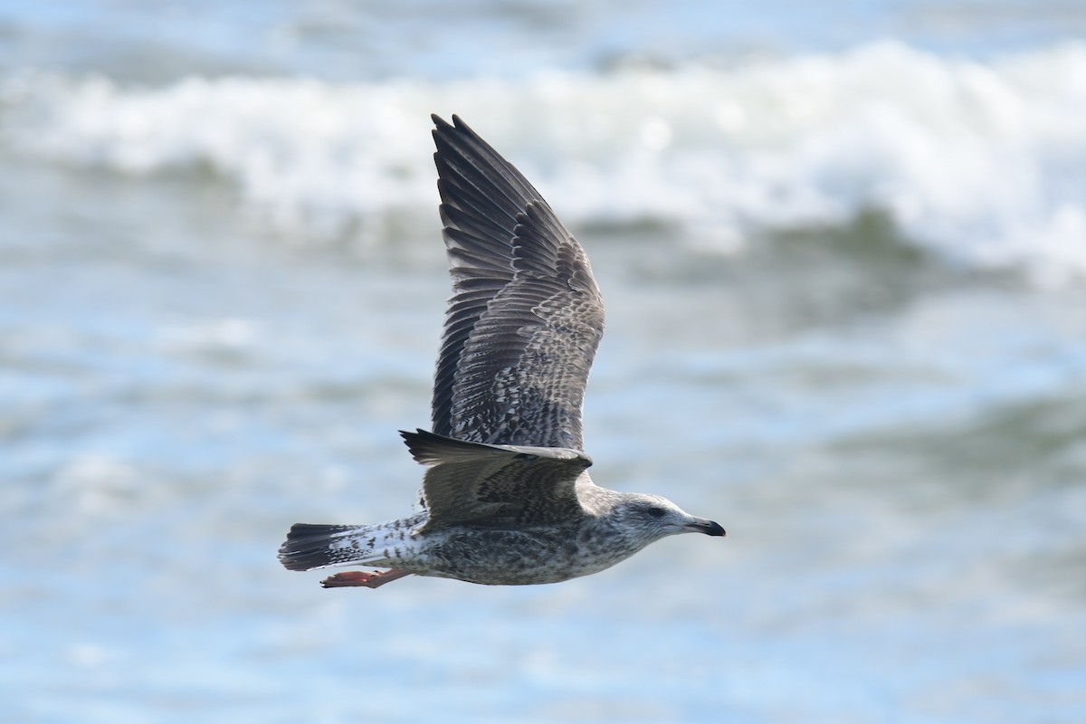 Клуша - ML650351883