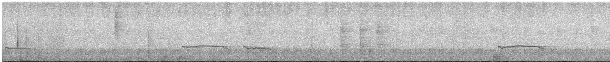 Montane Nightjar (Rwenzori) - ML650357415