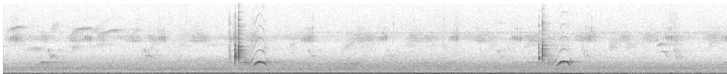 Кубла строката - ML650362586