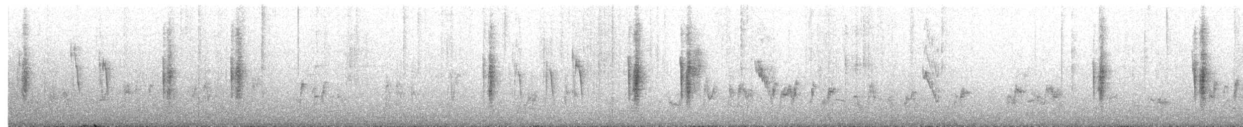 Coliou rayé - ML650365338