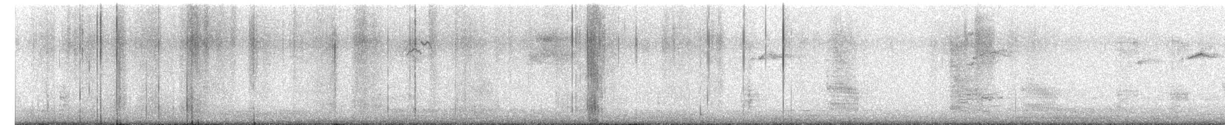 Common Grackle - ML650369556