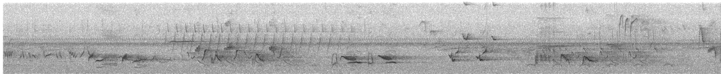 チャイロツグミモドキ - ML650369718