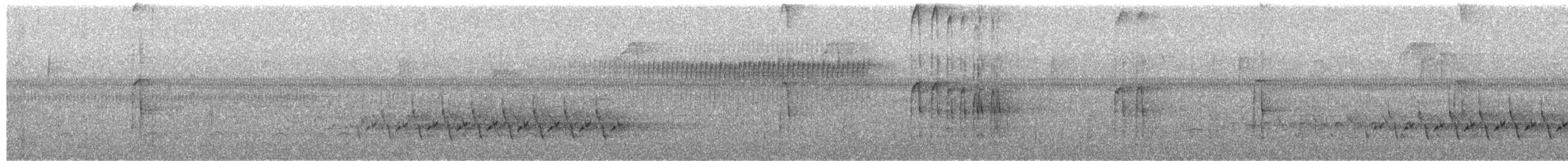 Pico Velloso - ML650370983