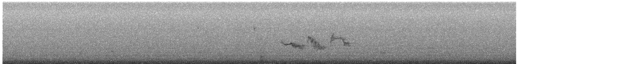 White-crowned Sparrow (Gambel's) - ML650372548