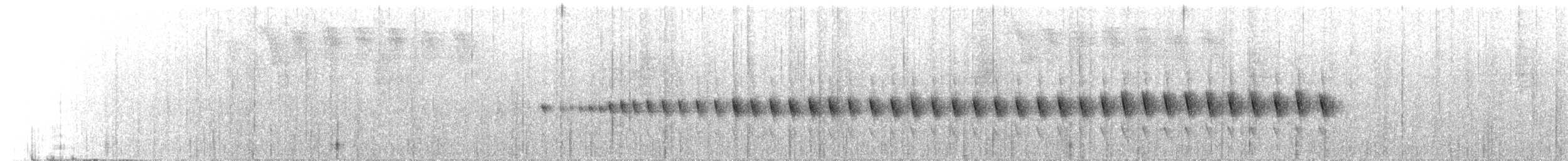 Silberbrauentapaculo - ML650380937
