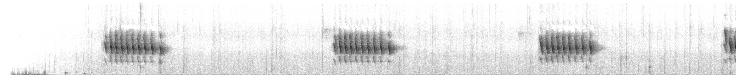 Silberbrauentapaculo - ML650380938