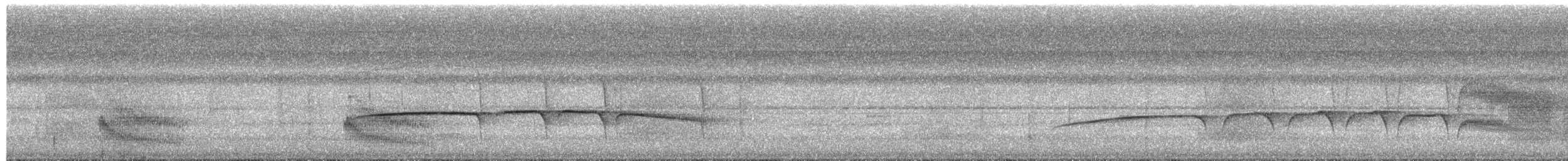 Hairy-crested Antbird - ML650386729