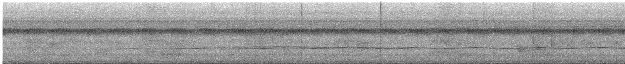 Banded Antbird - ML650386734