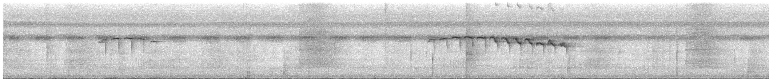 Rio Madeira Stipplethroat - ML650386744