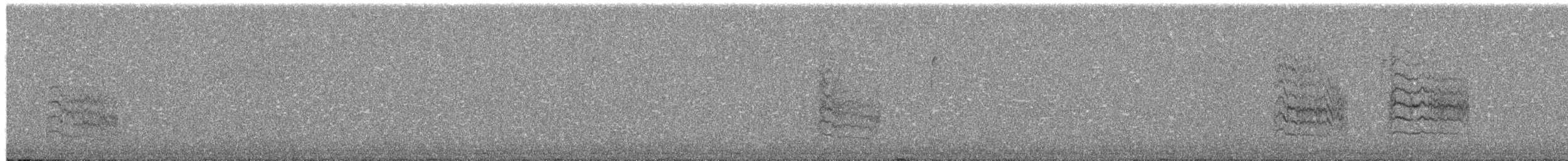 Northern House Wren (Northern) - ML650386928