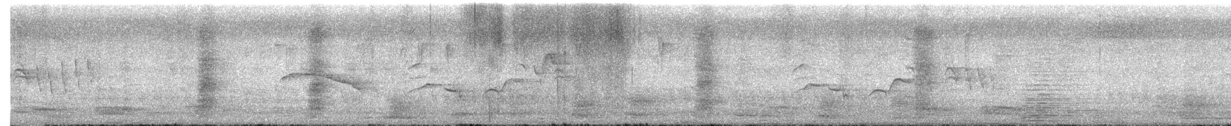 Dajalschama - ML650391005