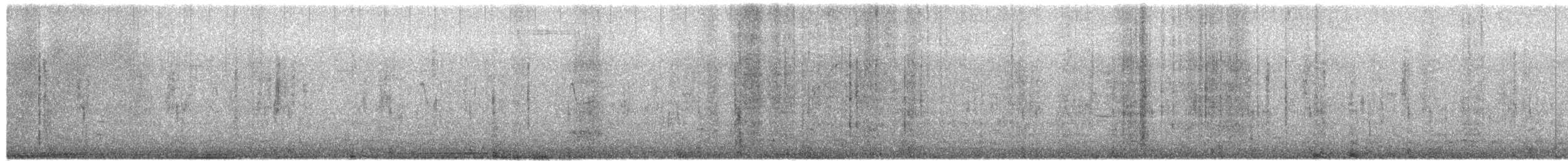 琵嘴鴨 - ML650391096