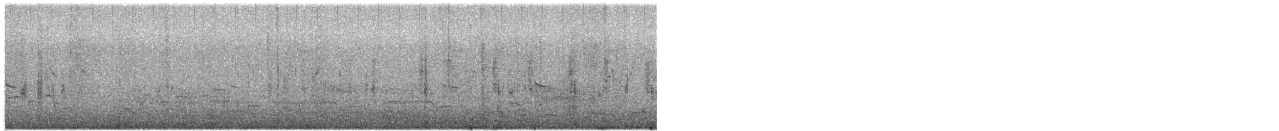 琵嘴鴨 - ML650391097