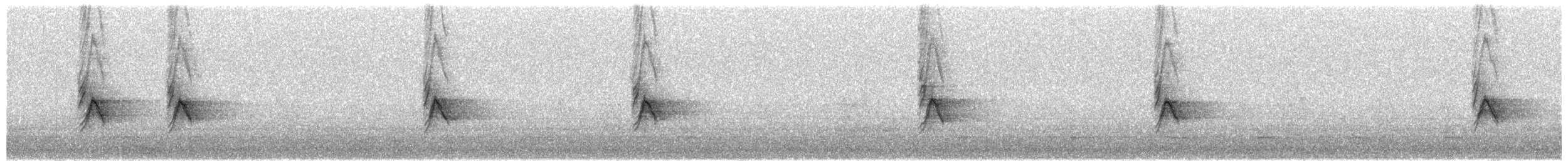 House Sparrow - ML650391550