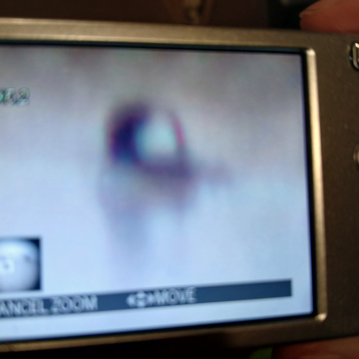 Hooded Merganser - ML650392289