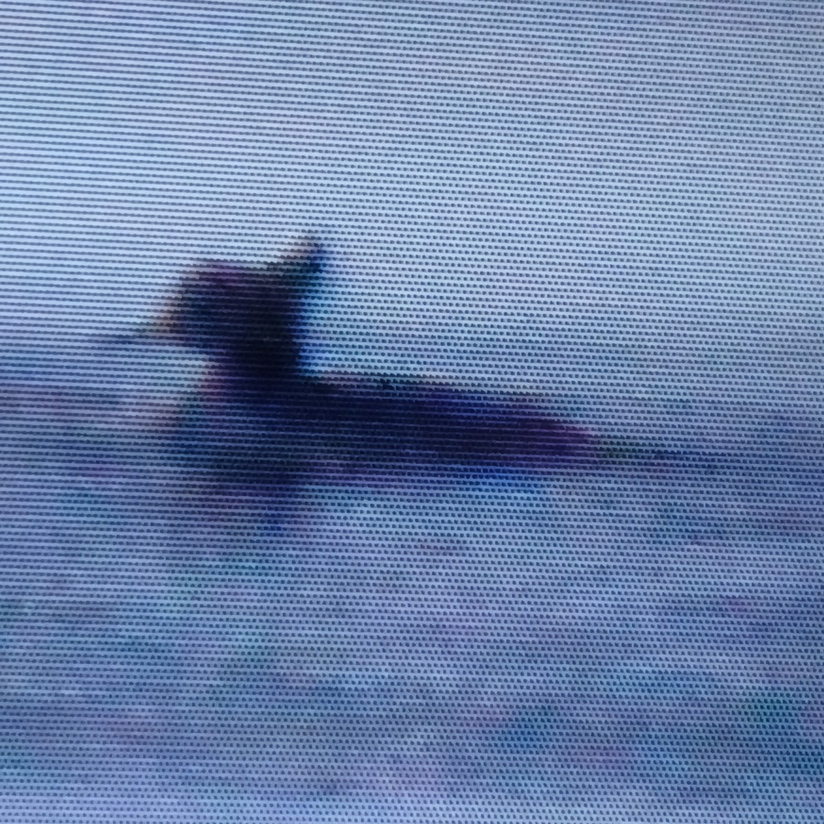 Hooded Merganser - ML650392343