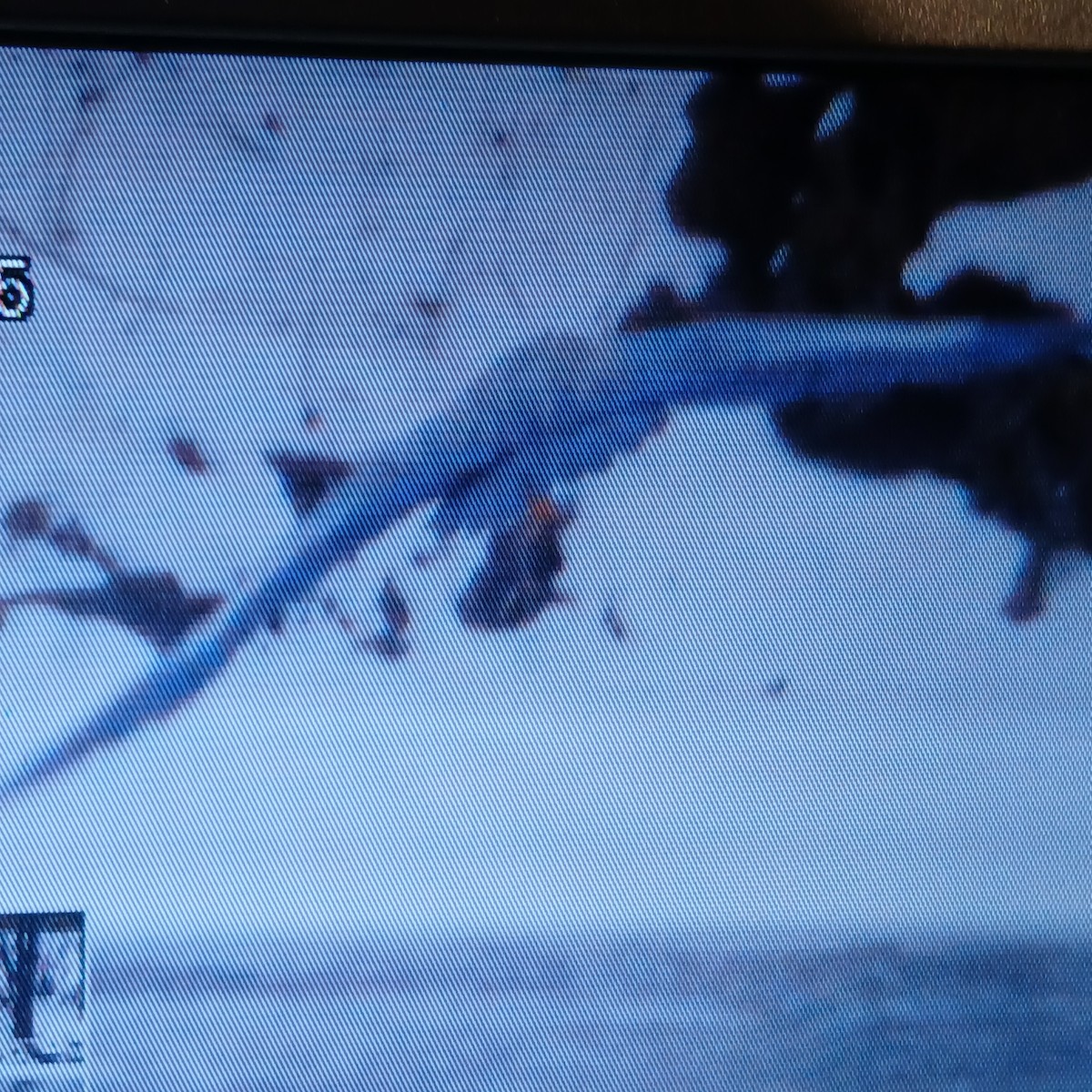 Great Blue Heron - ML650392374