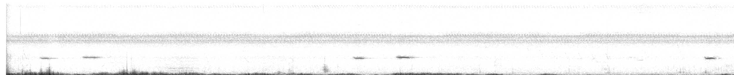 Striped Cuckoo - ML650399263